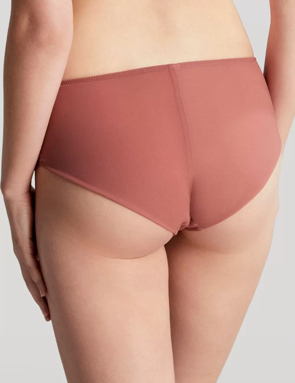 Panache Briefs<Ana Brief