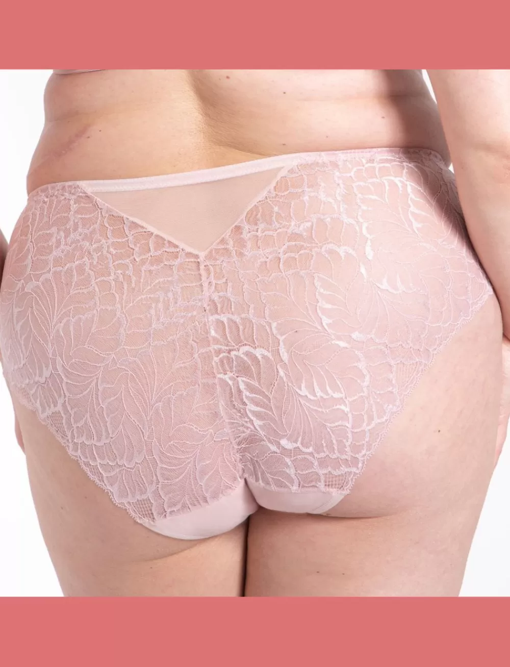 Samanta Briefs<Amelia Midi Brief Powder Rose